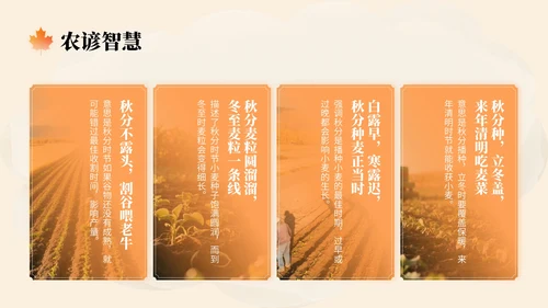橙色中国风秋分节气文化知识讲座PPT模版