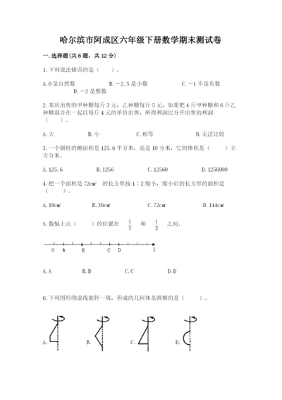 哈尔滨市阿成区六年级下册数学期末测试卷必考题.docx
