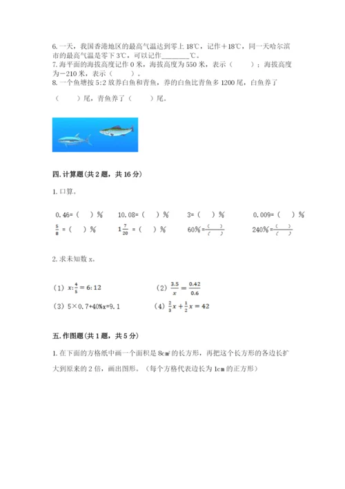 北师大版小学数学六年级下册期末检测试题含完整答案【全国通用】.docx