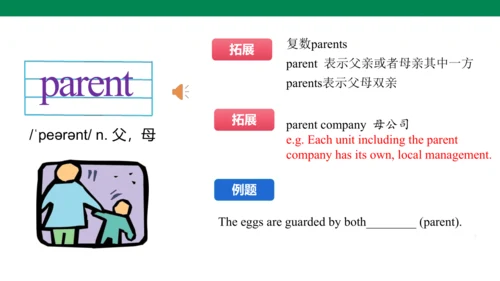Unit 3 Family ties 单词讲解课件第二课时(含内嵌音频)【新外研（2024）版七上英