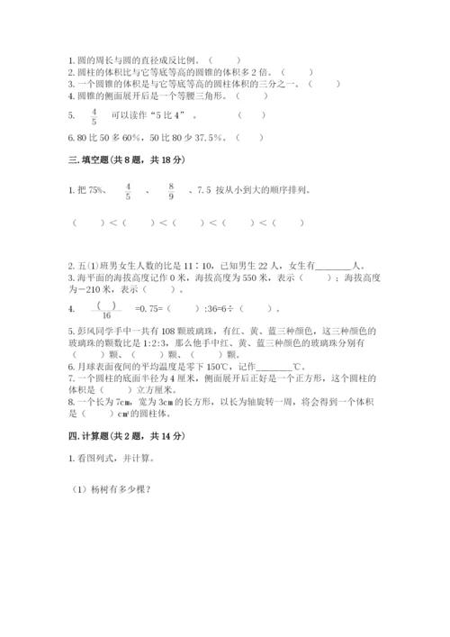 九江市小升初数学测试卷带答案.docx