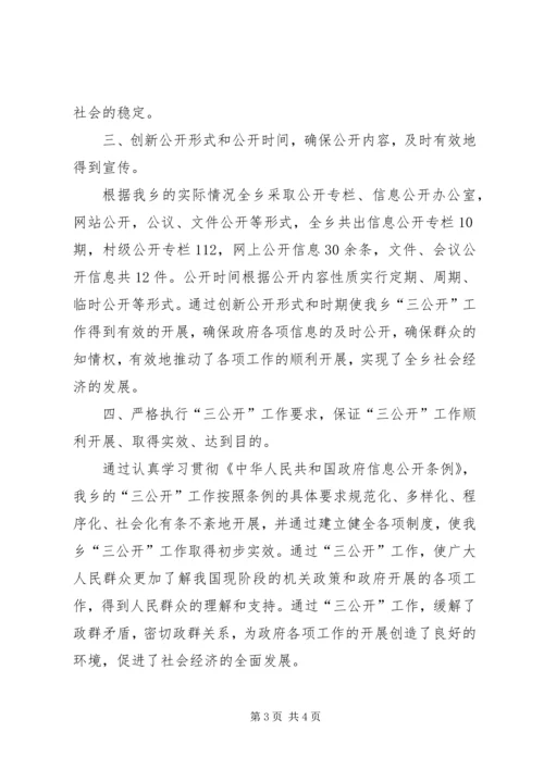 乡镇政府三公开工作总结.docx