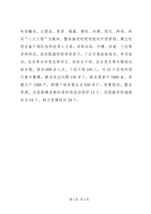 村级党组织升级交流材料.docx