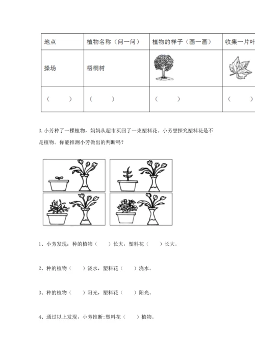 教科版一年级上册科学期末测试卷精品（模拟题）.docx