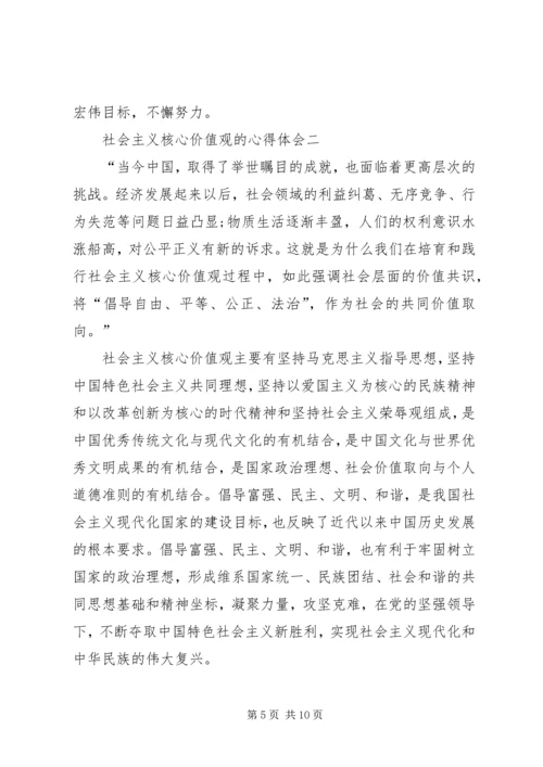 社会主义核心价值观的心得体会多篇.docx