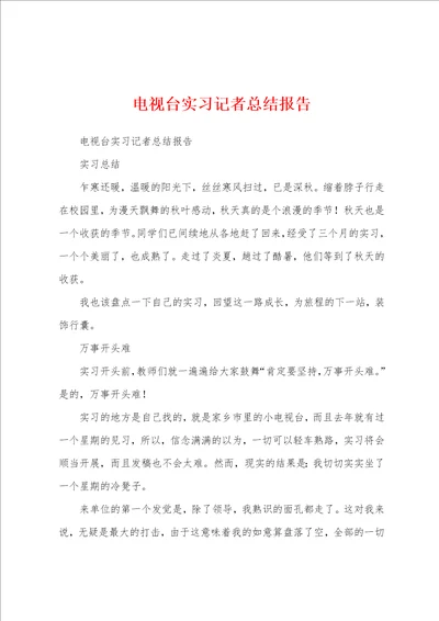 电视台实习记者总结报告