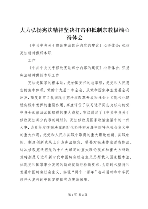 大力弘扬宪法精神坚决打击和抵制宗教极端心得体会 (4).docx