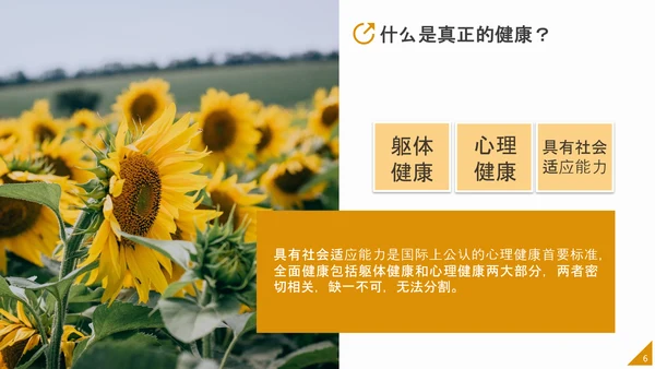 中小学生心理健康应知应会PPT模板
