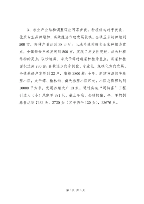 乡镇政府某年工作报告_1.docx