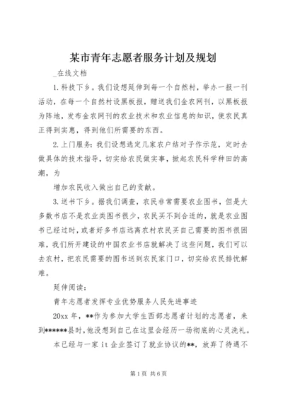 某市青年志愿者服务计划及规划.docx