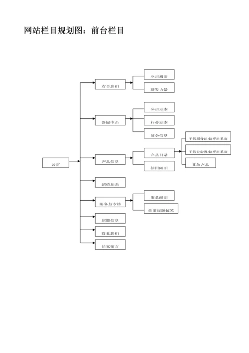 电子公司网站专题策划专题方案.docx