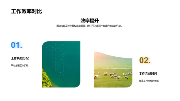 团队效能全面分析