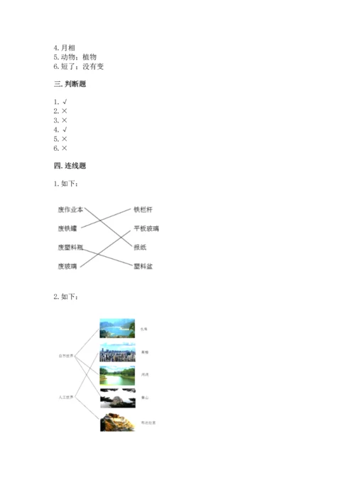 教科版科学二年级上册《期末测试卷》加答案.docx