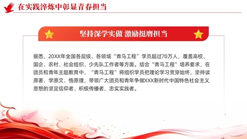 简约红色党建坚持深学实做激励挺膺担当主题教育PPT