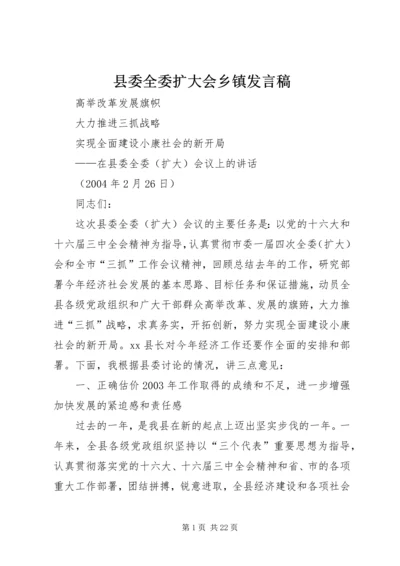 县委全委扩大会乡镇发言稿 (2).docx