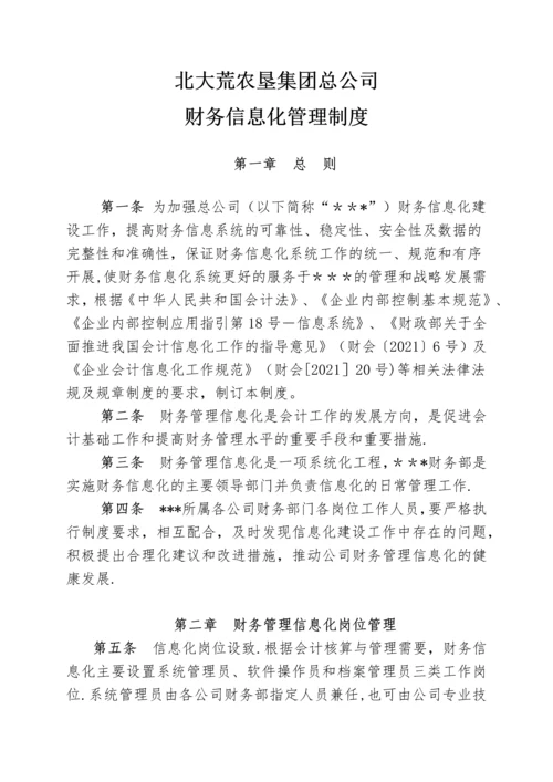 集团财务信息化管理制度实用文档.docx