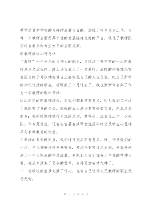 教师培训总结2篇.docx