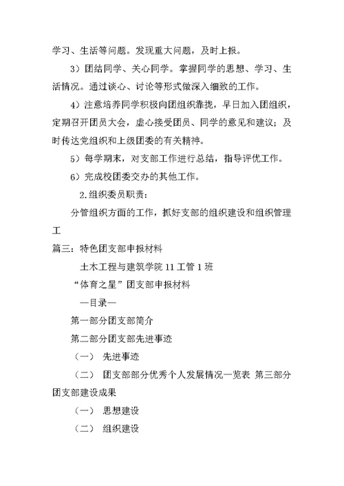 特色团支部申报材料