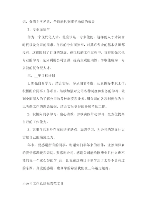 小公司工作总结报告范文.docx
