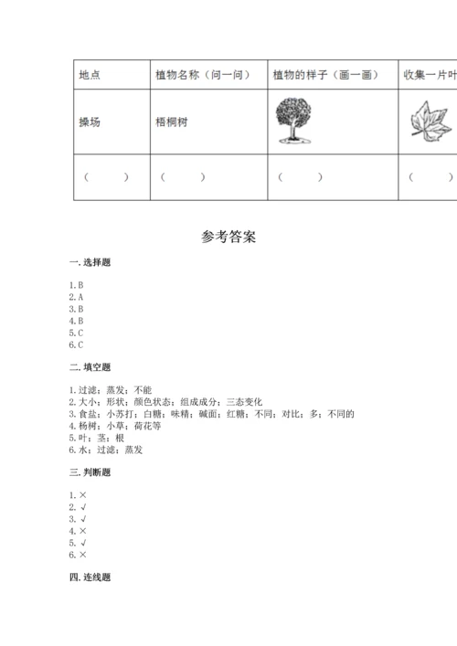 教科版科学一年级上册第一单元《植物》测试卷及参考答案（基础题）.docx
