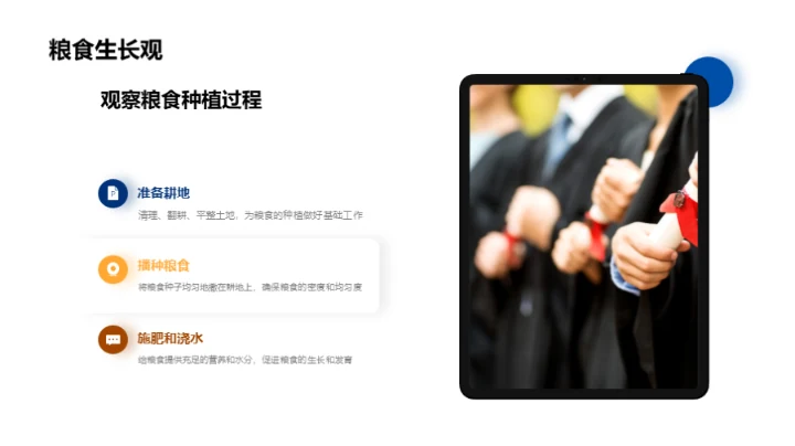 立秋季节与粮食种植