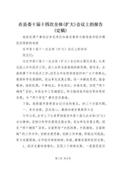 在县委十届十四次全体(扩大)会议上的报告(定稿) (3).docx