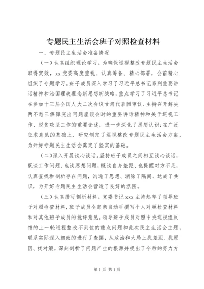 专题民主生活会班子对照检查材料.docx