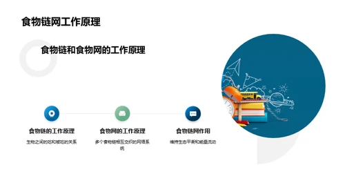 探索生态系统