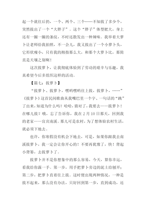 拔萝卜作文0.docx