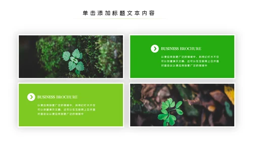 唯美绿色植物发芽植物生长敬畏生命PPT模板