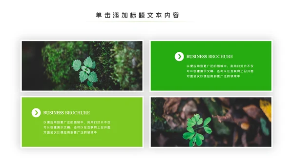 唯美绿色植物发芽植物生长敬畏生命PPT模板