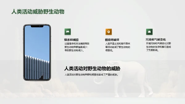 保护野生动物
