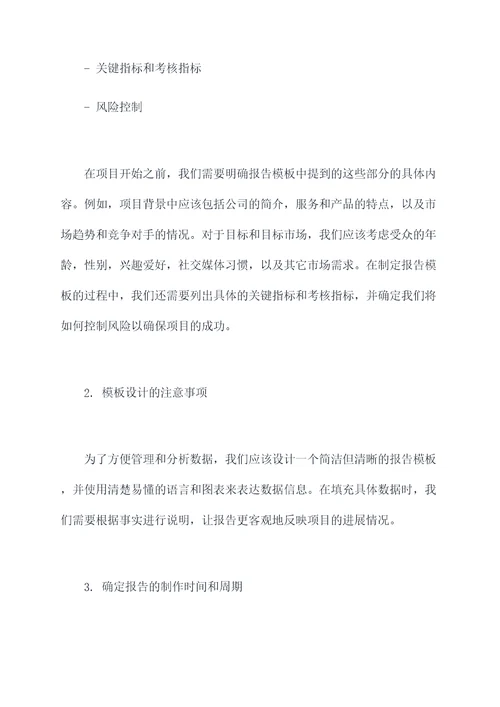 如何制作项目概况报告模板