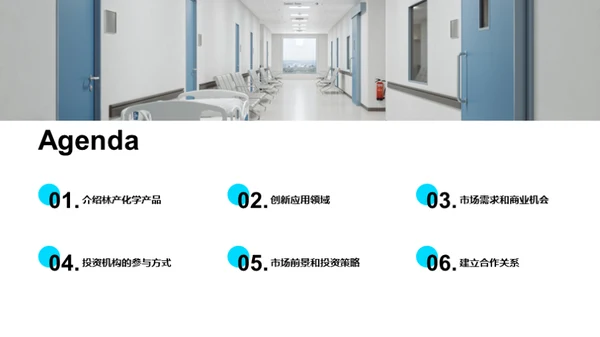 解析林产化学新机遇