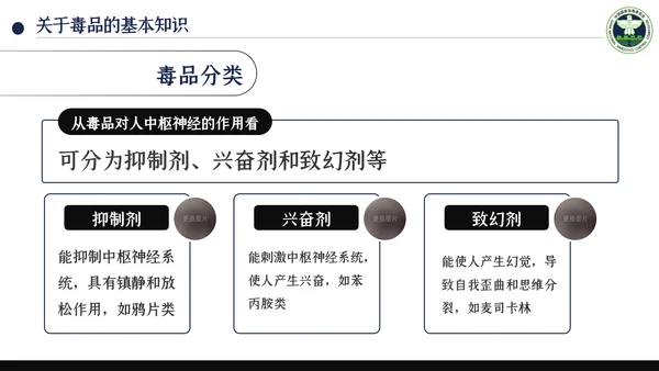 国际禁毒日珍爱生命远离禁毒教育知识PPT模板