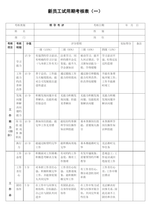 新员工试用期考核表(样本).docx