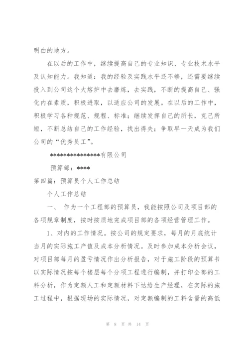 预算员个人工作总结.docx