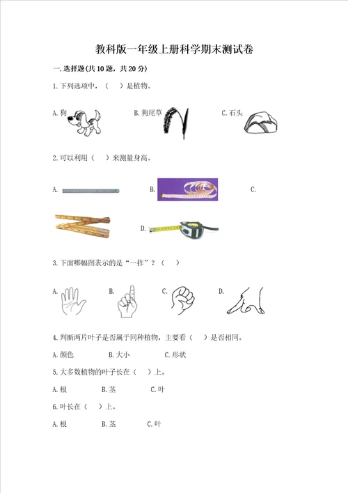 教科版一年级上册科学期末测试卷附参考答案夺分金卷