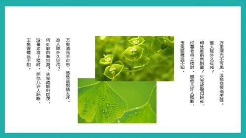 泛舟湖上通用PPT模板