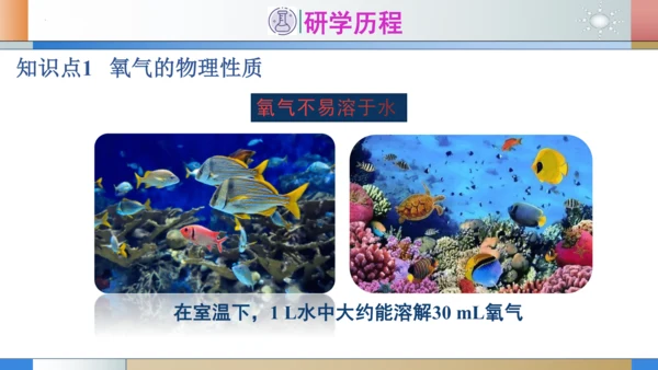 2.2氧气 第1课时氧气的性质 课件(共29张PPT内嵌视频)---2023-2024学年九年级化学