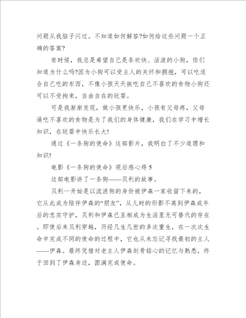 电影一条狗的使命观后感心得