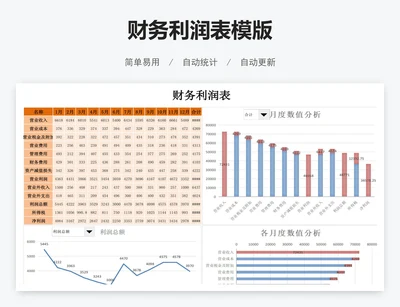 财务利润表模版