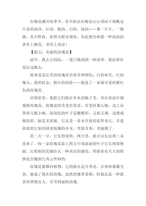关于花的作文350字.docx