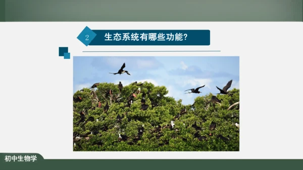 1.2.2 生物与环境组成生态系统 课件（共25张PPT）
