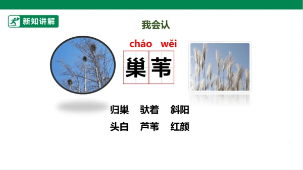 3.现代诗二首 秋晚的江上 课件