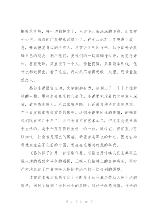 骆驼祥子小说三章读后感800字5篇.docx