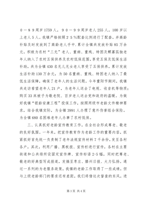 乡镇年度老龄工作总结.docx