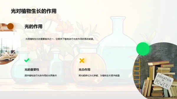 科学实验揭秘植物生长