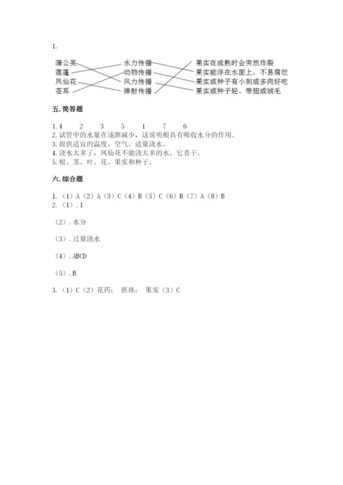 教科版四年级下册科学第一单元《植物的生长变化》测试卷精品（巩固）.docx