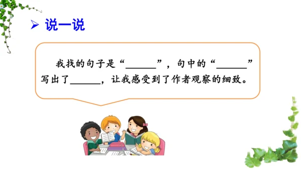 10 爬山虎的脚  课件